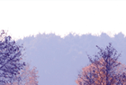 Holiday cottages and self catering cottages in the UK