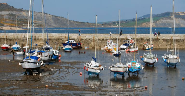 Fishing boats moored in Lyme Regis harbour