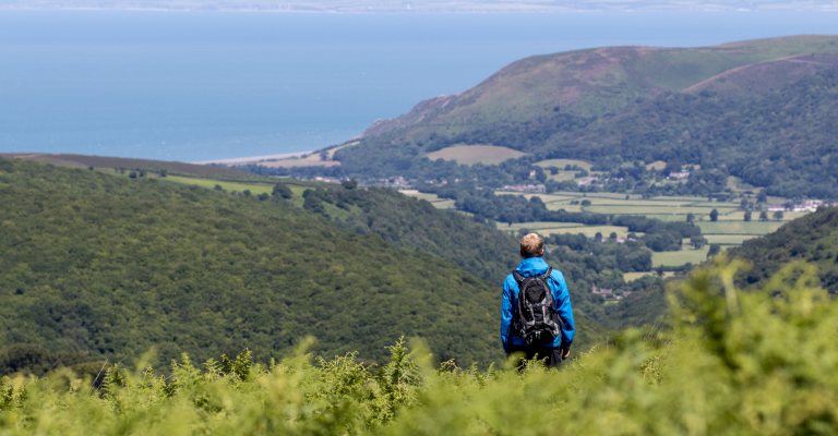 Tree Climbing  Exmoor Adventures