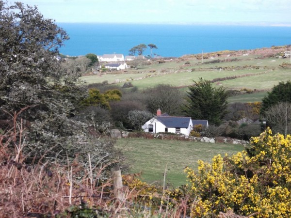 Cornish cottages with store pets