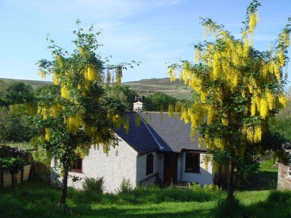 Away From Everything Isolated Holiday Cottage In Snowdonia