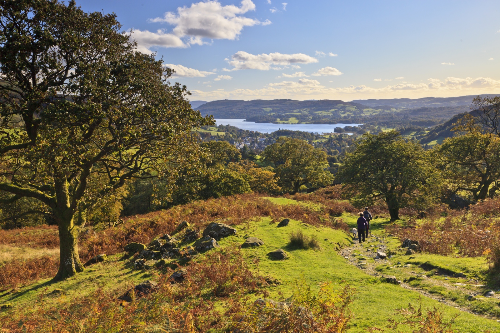 places to visit in lake district with dogs